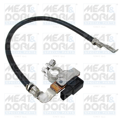 Accumanagement sensor Meat Doria 241008