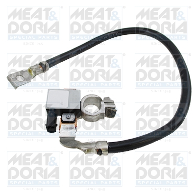 Accumanagement sensor Meat Doria 241009