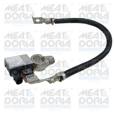 Accumanagement sensor Meat Doria 241011