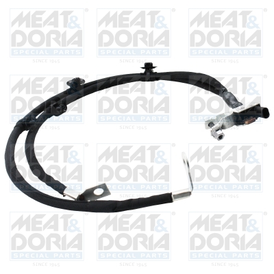 Accumanagement sensor Meat Doria 241050