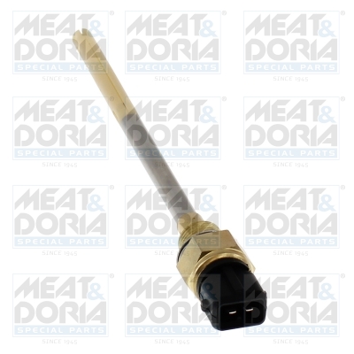 Motoroliepeil sensor Meat Doria 72440