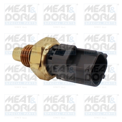 Brandstofdruk sensor Meat Doria 821013