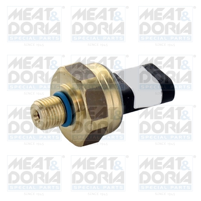 Brandstofdruk sensor Meat Doria 825006