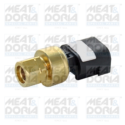 Brandstofdruk sensor Meat Doria 825008