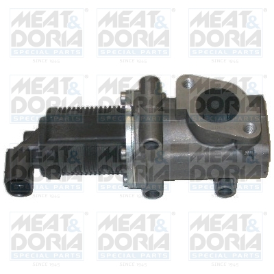 EGR-klep Meat Doria 88007