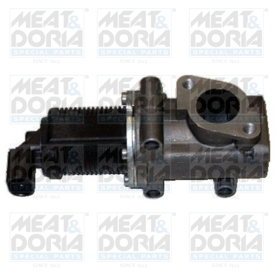 EGR-klep Meat Doria 88007R