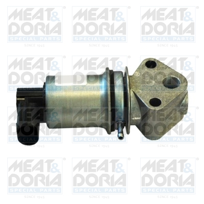 EGR-klep Meat Doria 88009B