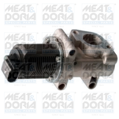 EGR-klep Meat Doria 88016B