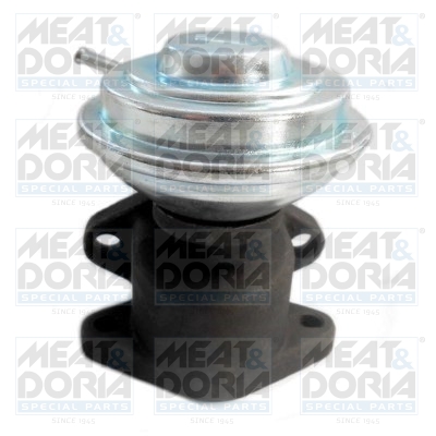 EGR-klep Meat Doria 88025