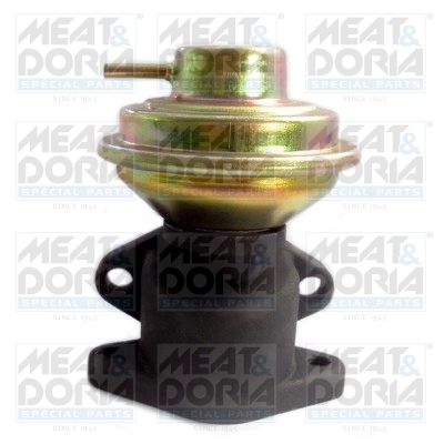 EGR-klep Meat Doria 88032