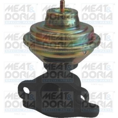 EGR-klep Meat Doria 88038