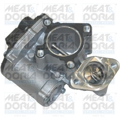 EGR-klep Meat Doria 88110R