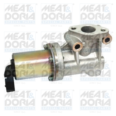 EGR-klep Meat Doria 88125