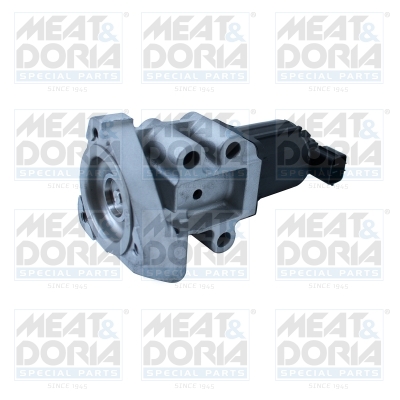 EGR-klep Meat Doria 88127R