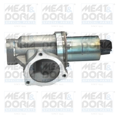 EGR-klep Meat Doria 88129R