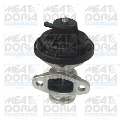 EGR-klep Meat Doria 88175E