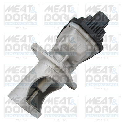 EGR-klep Meat Doria 88436R