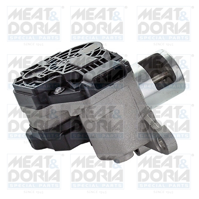 EGR-klep Meat Doria 88829