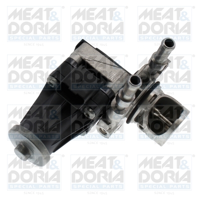 EGR-klep Meat Doria 88882