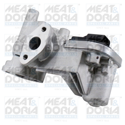 EGR-klep Meat Doria 88924