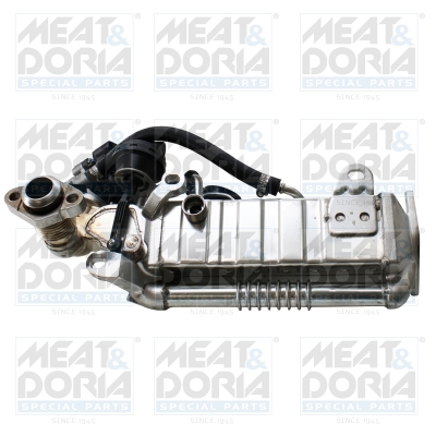 EGR-klep Meat Doria 88932R