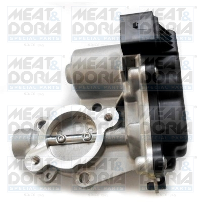 EGR-klep Meat Doria 89292R