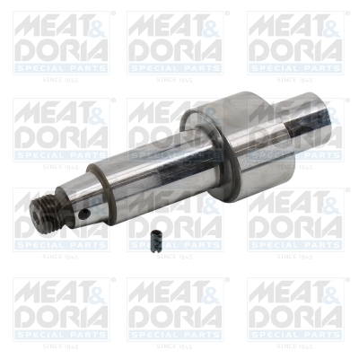 Reparatieset, common-rail-systeem Meat Doria 98267