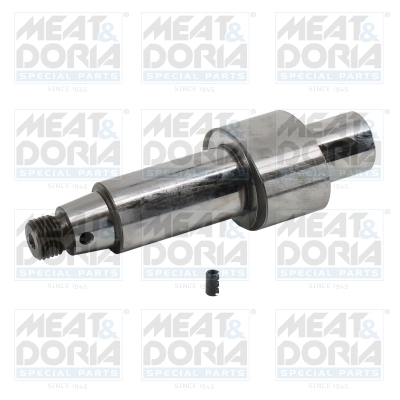 Reparatieset, common-rail-systeem Meat Doria 98271