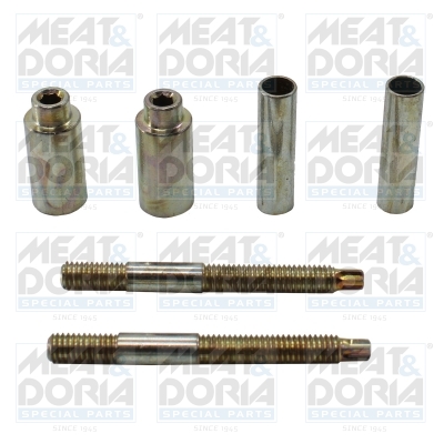 Reparatieset, common-rail-systeem Meat Doria 98472