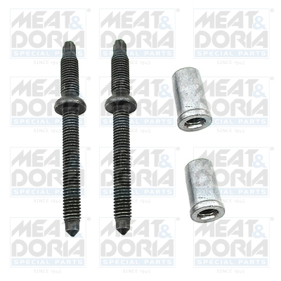 Reparatieset, common-rail-systeem Meat Doria 9861