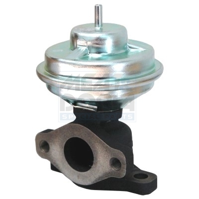 EGR-klep Meat Doria 88132