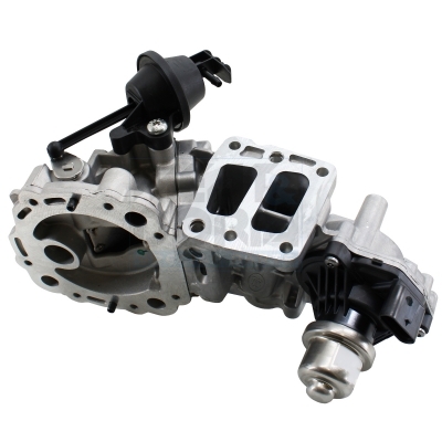 EGR-klep Meat Doria 88851