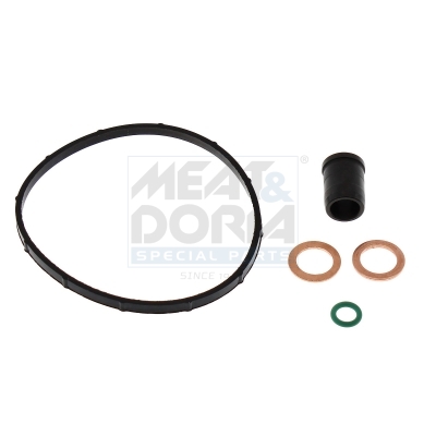 Reparatieset, common-rail-systeem Meat Doria 98555