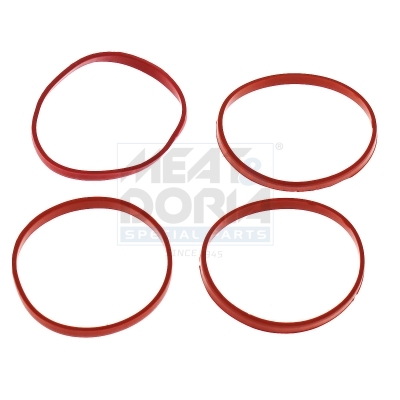 Inlaatspruitstukpakking Meat Doria 016245