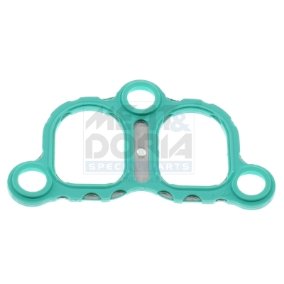 Inlaatspruitstukpakking Meat Doria 016252