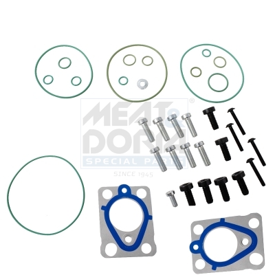 Reparatieset, common-rail-systeem Meat Doria 981249