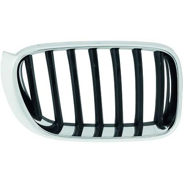 Grille Diederichs 1276140