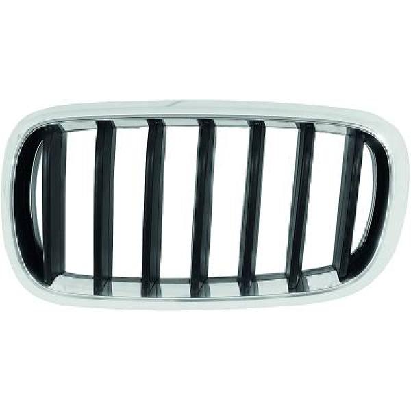 Grille Diederichs 1293041