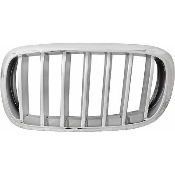 Grille Diederichs 1293043