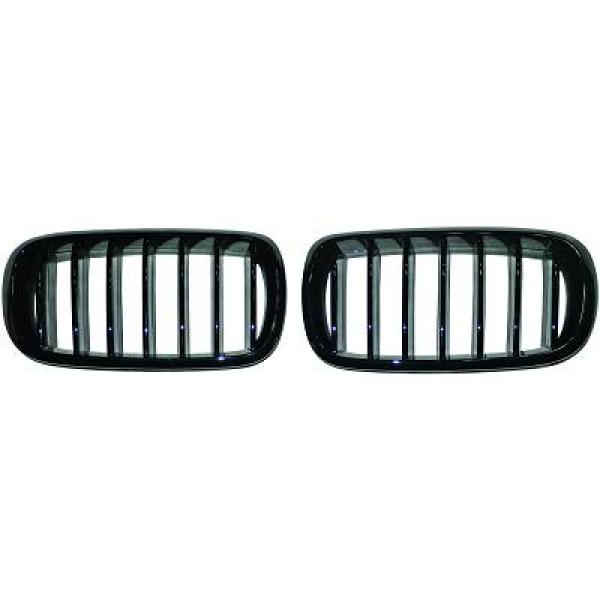 Grille Diederichs 1293440