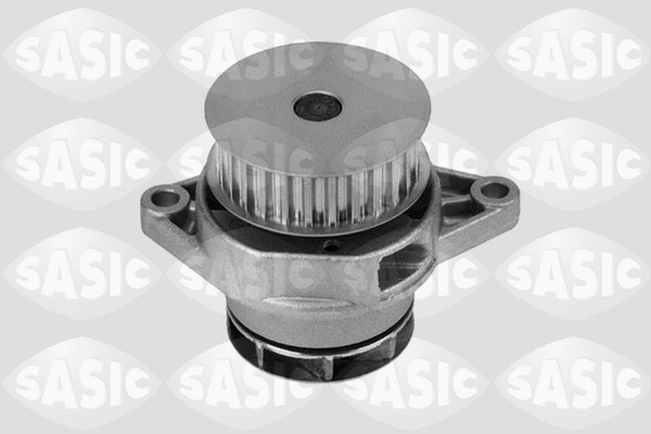 Waterpomp Sasic 3606017