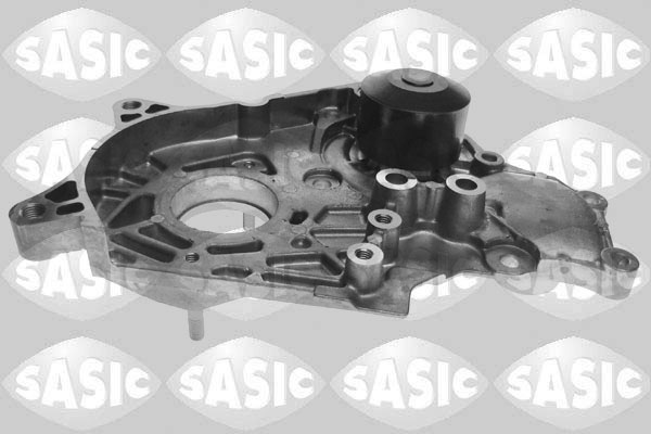 Waterpomp Sasic 3606056