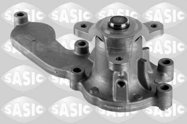 Waterpomp Sasic 3606083