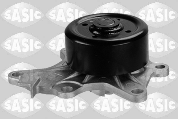 Waterpomp Sasic 3606087
