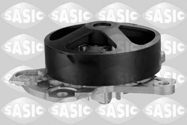 Waterpomp Sasic 3606094