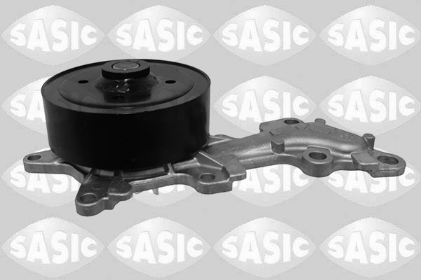 Waterpomp Sasic 3606108