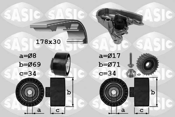 Distributieriem kit inclusief waterpomp Sasic 3906030
