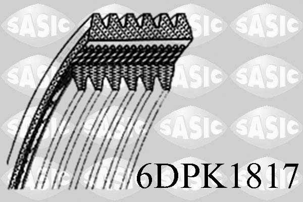 Poly V-riem Sasic 6DPK1817