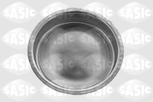 Wielnaaf afdekplaat Sasic 7403193