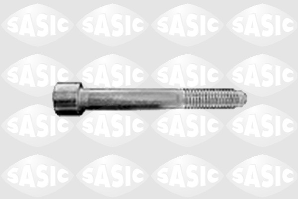 Draagarm bevestiging bout Sasic 9136046